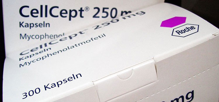 buy cellcept in Aberdeen Proving Ground, MD