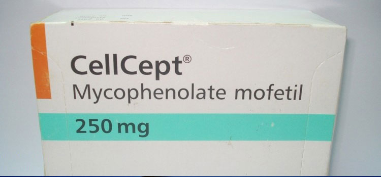 order cheaper cellcept online in Aberdeen Proving Ground, MD