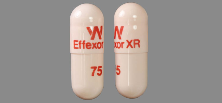 order cheaper effexor online in South Kensington, MD